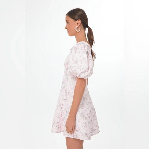 NWT Tuckernuck HYACINTH HOUSE Pink Jacquard Empire Ella Mini Dress Medium - Picture 4 of 9